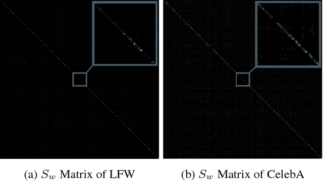 Figure 1 for Efficient Gender Classification Using a Deep LDA-Pruned Net