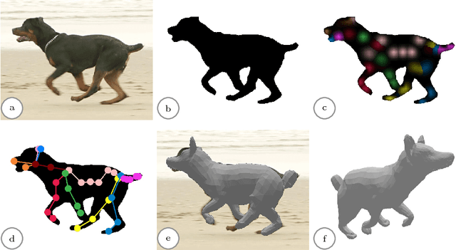 Figure 1 for Creatures great and SMAL: Recovering the shape and motion of animals from video
