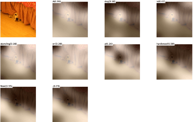 Figure 3 for Show, Attend and Tell: Neural Image Caption Generation with Visual Attention
