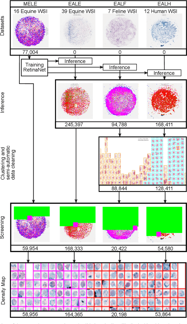 Figure 1 for Inter-Species Cell Detection: Datasets on pulmonary hemosiderophages in equine, human and feline specimens