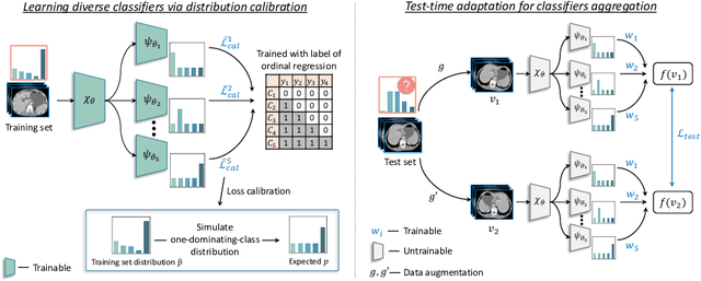 Figure 1 for Test-time Adaptation with Calibration of Medical Image Classification Nets for Label Distribution Shift