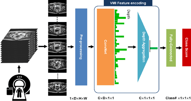 Figure 1 for Moving from 2D to 3D: volumetric medical image classification for rectal cancer staging