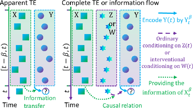 Figure 1 for A unified theory of information transfer and causal relation