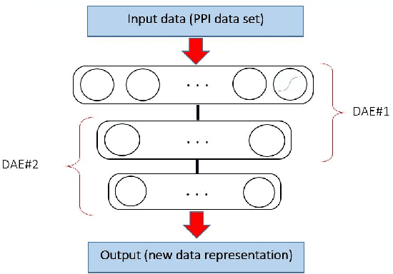 Figure 2 for A two-stage learning method for protein-protein interaction prediction