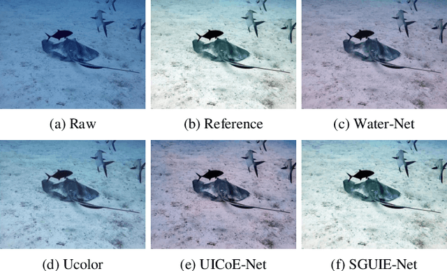 Figure 1 for SGUIE-Net: Semantic Attention Guided Underwater Image Enhancement with Multi-Scale Perception