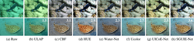 Figure 3 for SGUIE-Net: Semantic Attention Guided Underwater Image Enhancement with Multi-Scale Perception
