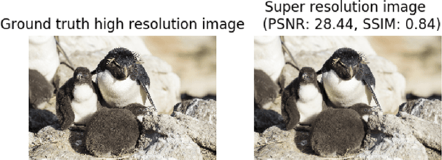 Figure 3 for Adaptive Loss Function for Super Resolution Neural Networks Using Convex Optimization Techniques