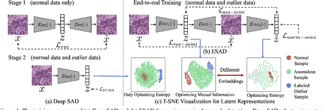 Figure 1 for ESAD: End-to-end Deep Semi-supervised Anomaly Detection