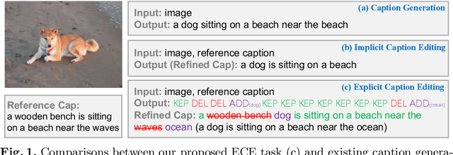Figure 1 for Explicit Image Caption Editing