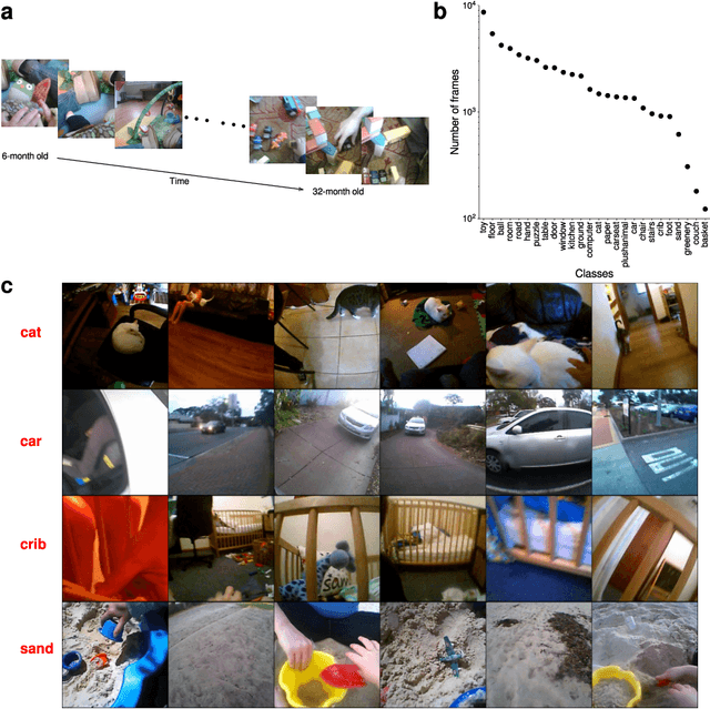 Figure 1 for Self-supervised learning through the eyes of a child