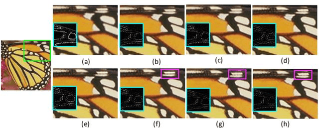 Figure 3 for Local Patch Encoding-Based Method for Single Image Super-Resolution