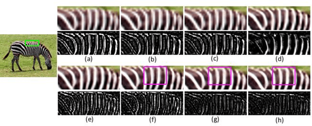 Figure 4 for Local Patch Encoding-Based Method for Single Image Super-Resolution