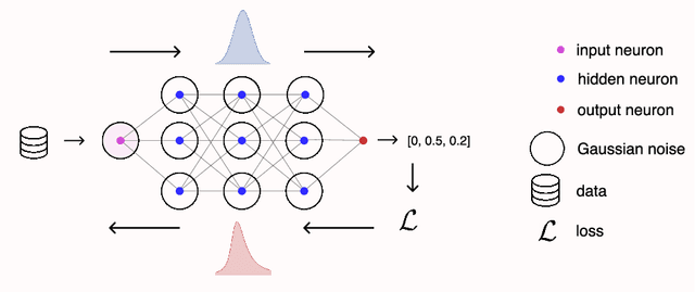 Figure 1 for Asymmetric Heavy Tails and Implicit Bias in Gaussian Noise Injections
