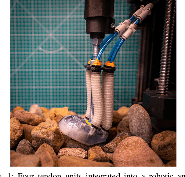 Figure 1 for Jammkle: Fibre jamming 3D printed multi-material tendons and their application in a robotic ankle