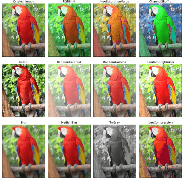 Figure 1 for Albumentations: fast and flexible image augmentations