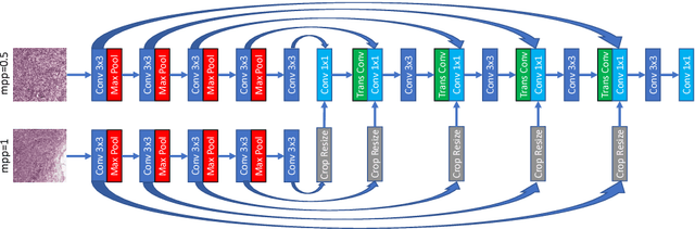 Figure 2 for Multi-Resolution Networks for Semantic Segmentation in Whole Slide Images