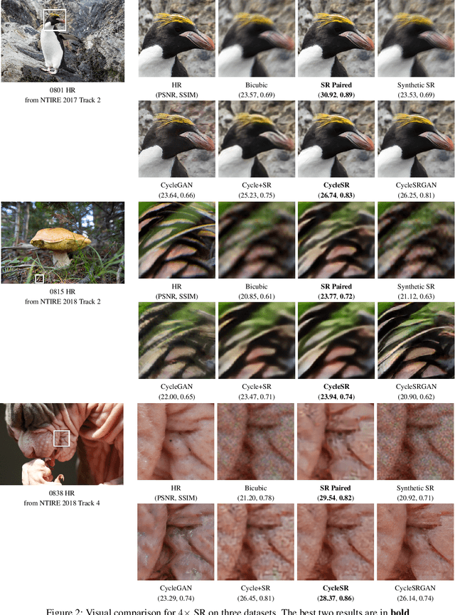 Figure 3 for Unsupervised Image Super-Resolution with an Indirect Supervised Path