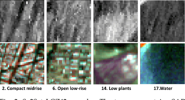 Figure 3 for Fitness Landscape Footprint: A Framework to Compare Neural Architecture Search Problems