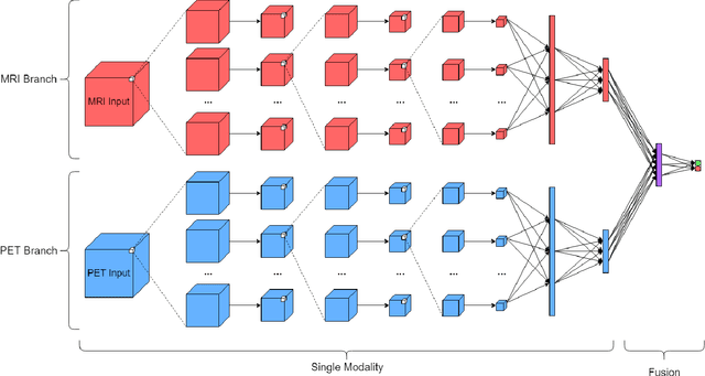 Figure 3 for Neuroimaging Modality Fusion in Alzheimer's Classification Using Convolutional Neural Networks