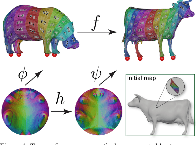 Figure 1 for Neural Surface Maps