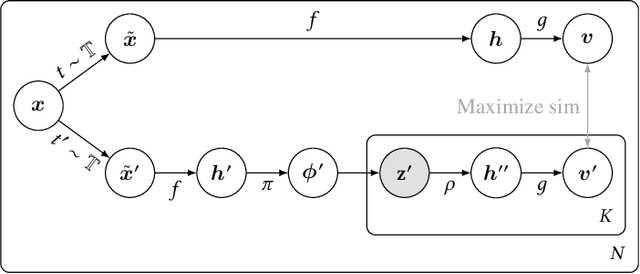 Figure 1 for Stochastic Contrastive Learning