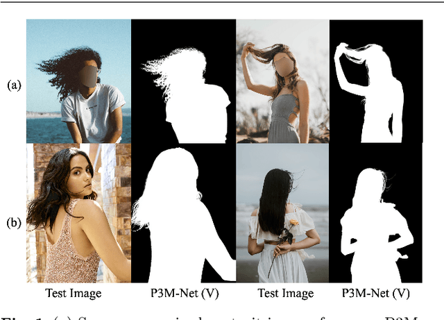 Figure 1 for Rethinking Portrait Matting with Privacy Preserving