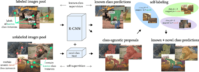 Figure 1 for Learning to Discover and Detect Objects