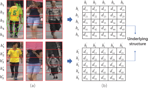 Figure 1 for Discovering Underlying Person Structure Pattern with Relative Local Distance for Person Re-identification