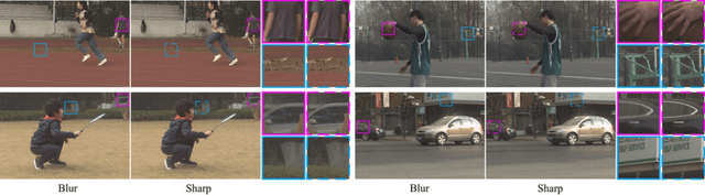Figure 3 for Real-world Deep Local Motion Deblurring