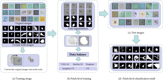 Figure 1 for A Comparison for Patch-level Classification of Deep Learning Methods on Transparent Environmental Microorganism Images: from Convolutional Neural Networks to Visual Transformers