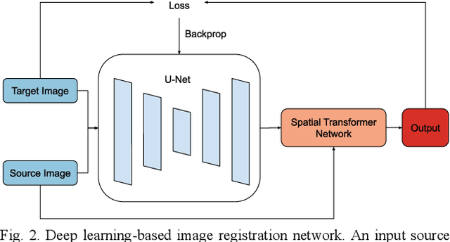 Figure 2 for Exploring Intensity Invariance in Deep Neural Networks for Brain Image Registration