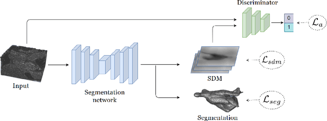 Figure 1 for Shape-aware Semi-supervised 3D Semantic Segmentation for Medical Images