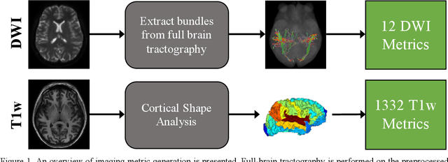 Figure 1 for MRI correlates of chronic symptoms in mild traumatic brain injury