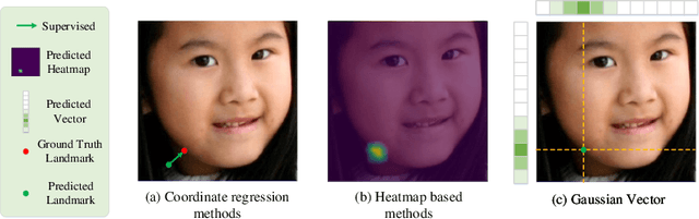 Figure 1 for Gaussian Vector: An Efficient Solution for Facial Landmark Detection