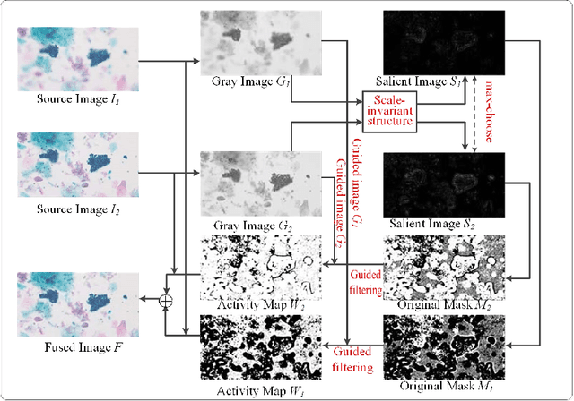 Figure 1 for Scale-Invariant Structure Saliency Selection for Fast Image Fusion