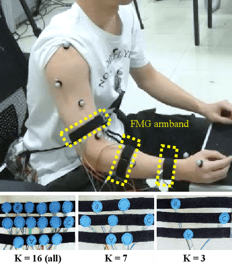 Figure 1 for Optimization of Forcemyography Sensor Placement for Arm Movement Recognition