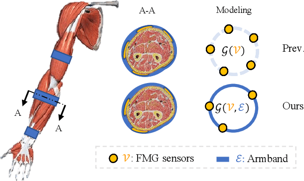 Figure 4 for Optimization of Forcemyography Sensor Placement for Arm Movement Recognition