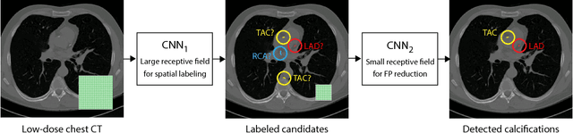 Figure 2 for Automatic calcium scoring in low-dose chest CT using deep neural networks with dilated convolutions