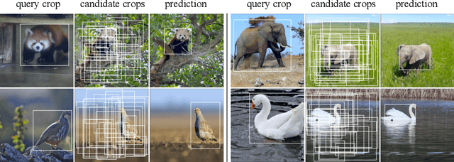 Figure 3 for Extreme Masking for Learning Instance and Distributed Visual Representations