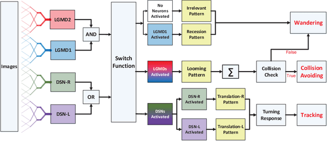 Figure 3 for Synthetic Neural Vision System Design for Motion Pattern Recognition in Dynamic Robot Scenes