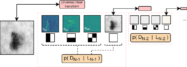 Figure 1 for Efficient Out-of-Distribution Detection of Melanoma with Wavelet-based Normalizing Flows