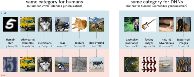Figure 3 for Shortcut Learning in Deep Neural Networks