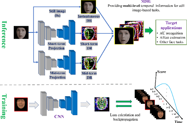 Figure 1 for Inferring Dynamic Representations of Facial Actions from a Still Image