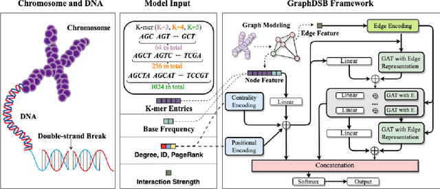 Figure 1 for Graph Neural Networks for Double-Strand DNA Breaks Prediction