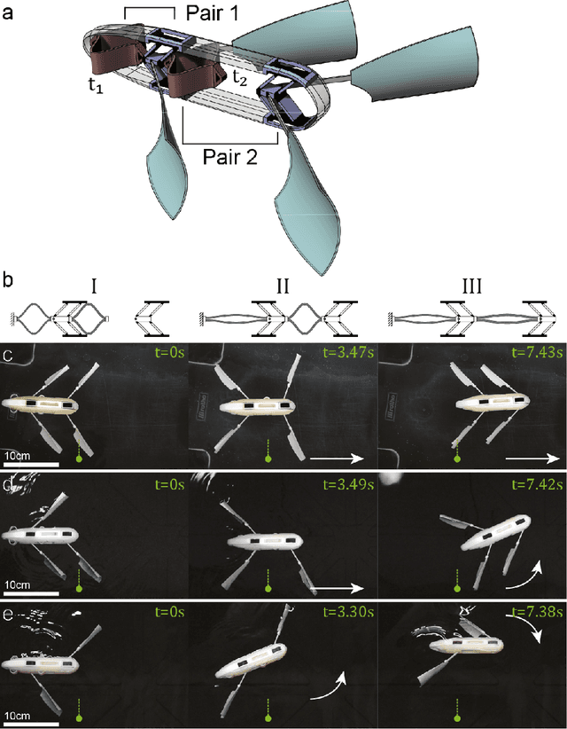 Figure 3 for Harnessing bistability for directional propulsion of untethered, soft robots