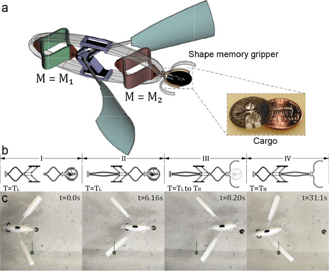 Figure 4 for Harnessing bistability for directional propulsion of untethered, soft robots