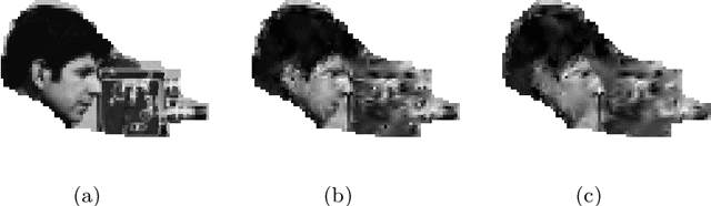 Figure 4 for A Region Based Easy Path Wavelet Transform For Sparse Image Representation