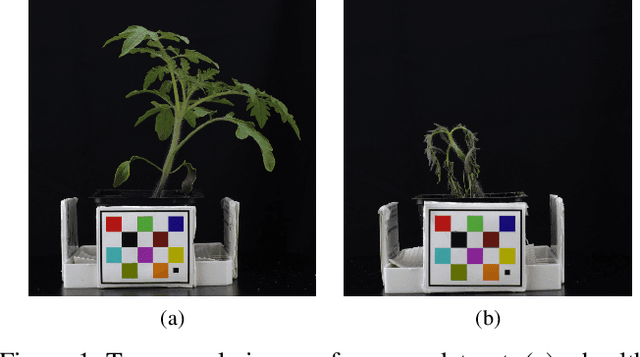Figure 1 for Plant Stem Segmentation Using Fast Ground Truth Generation