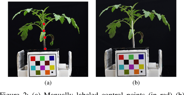 Figure 2 for Plant Stem Segmentation Using Fast Ground Truth Generation