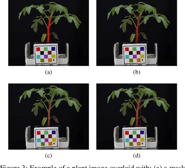 Figure 3 for Plant Stem Segmentation Using Fast Ground Truth Generation